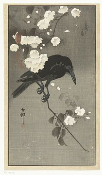 Krähe mit Kirschblüte, Ohara Koson, 1900 - 1930