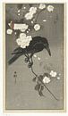 Corbeau avec des fleurs de cerisier, Ohara Koson, 1900 - 1930 par Creative Masters Aperçu