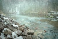 Foggy Stream
