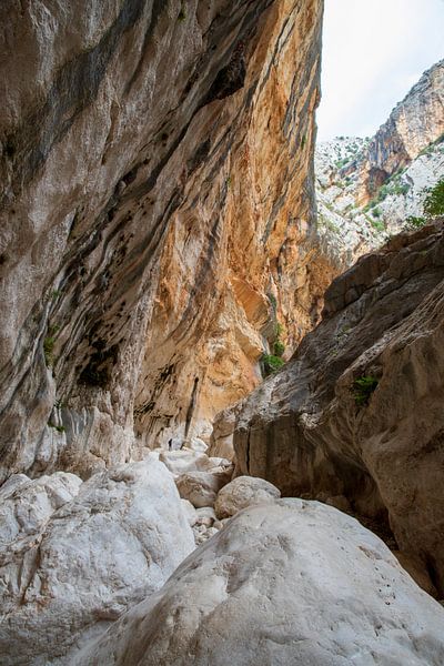 Su Gorropu Gorge Sardinia by Ton Tolboom