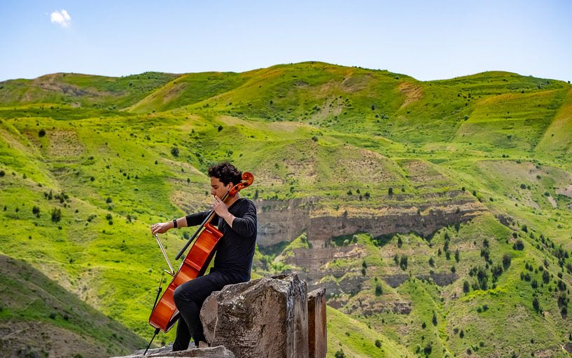 Cellospieler von Stijn Cleynhens