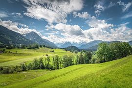 Painter's corner in the Allgäu by Steffen Gierok