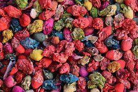 Colourful dried flowers by Jan Katuin