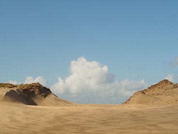 Duinlandschap van Marjanne van der Linden