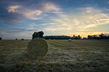 Oranje gloed aan de hemel als de zon ondergaat boven een geoogst graanveld van adventure-photos