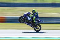 Valentino Rossi van Marco Dek thumbnail