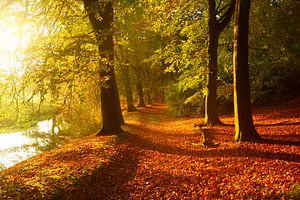 Landgoed Elswout