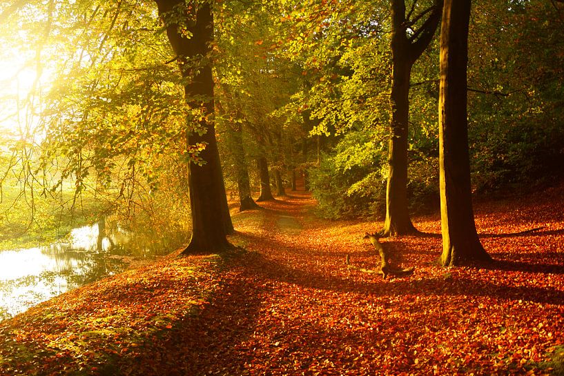 Landgoed Elswout par Michel van Kooten
