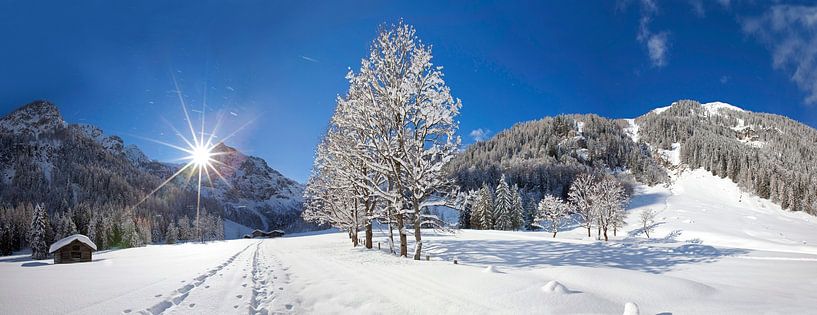 A winter fairy tale in the alpine pasture by Christa Kramer