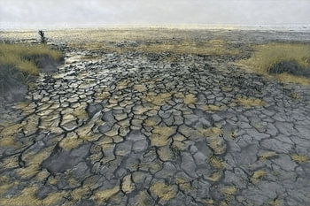 Le souffle de la mer des Wadden, le caractère vivant des fonds marins asséchés. Les sillons des vasières soulignent les motifs profondément gravés dans la vase