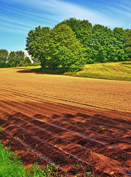 Buer 3 dans HDR par Edgar Schermaul