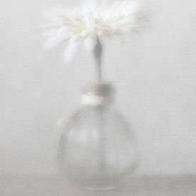 Glazen vaasje met witte bloem