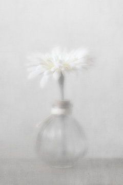Glazen vaasje met witte bloem van Jacq Christiaan