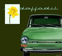 DAF 46 Front