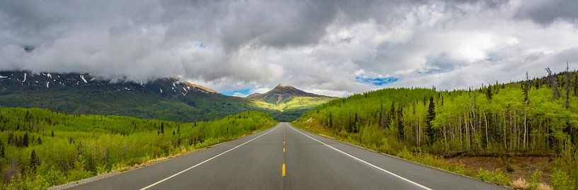 Golden Circle Route, durch Yukon und Alaska von Rietje Bulthuis