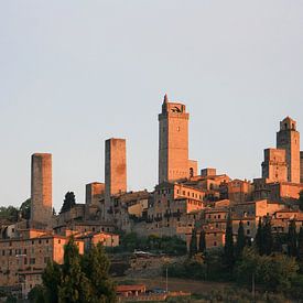 De torens van San Gimignano van Gerard Boerkamp