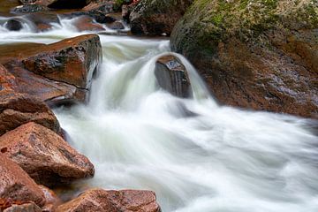 De rivier de Ilse in het Harz Nationaal Park