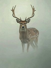 Majestic Deer Misty Fog Impasto Wildlife Portrait by Ramy Salah Hefny