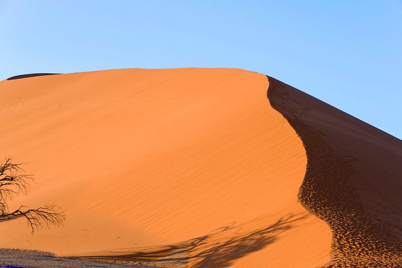 Namibie, woestijn, Afrika, Oranje, kleur van Liesbeth Govers voor Santmedia.nl