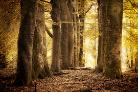 Begegnung der Köpfe