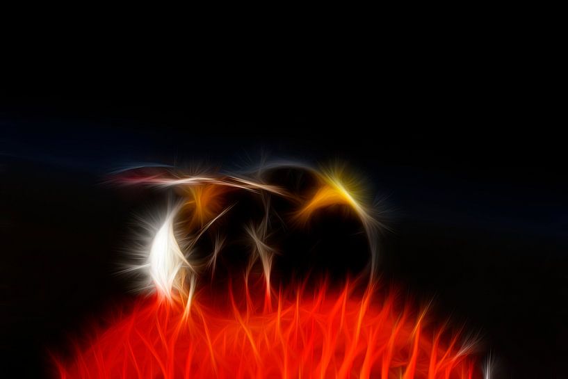 Hommel op Zonnehoed van Bert Meijer