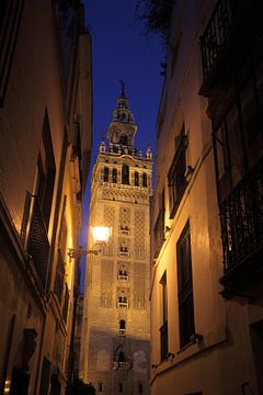 CATEDRAL DE SEVILLA van Joost Hinderdael