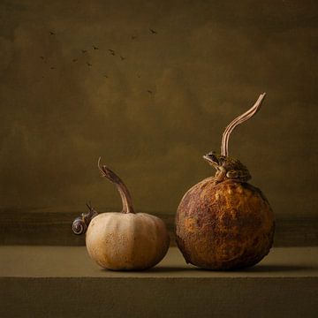 nature morte avec slk et grenouille sur Carolien van Schie