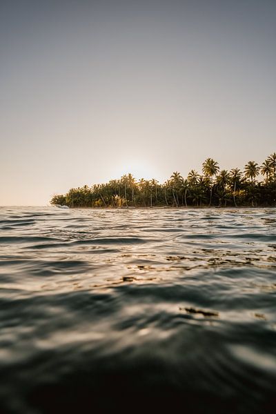 Coucher de soleil sur une île tropicale par Andy Troy