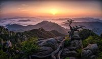 Sunrise on Top