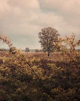 Herbst
