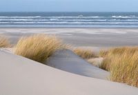 Aus den Dünen