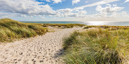 A path through the dunes to the sea in Hörnum on the island of Sylt
