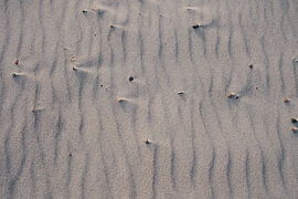 Strandromantik im Detail von Oliver Preuß