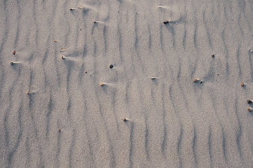 Strandromantik im Detail