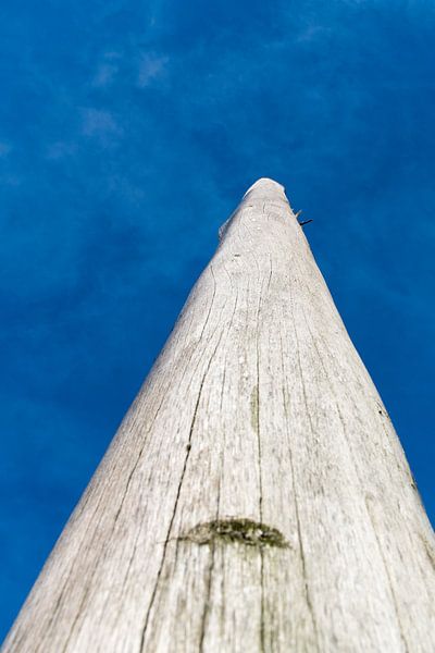 Sehr hoher Mast am Strand von Wim Stolwerk