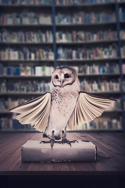 Schleiereule in der alten Bibliothek: Symbol für Weisheit und zeitloses Wissen von Elianne van Turennout