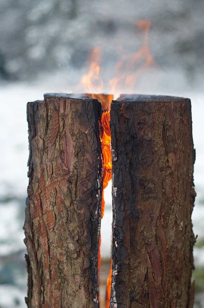 Logging fire by Fred Roest