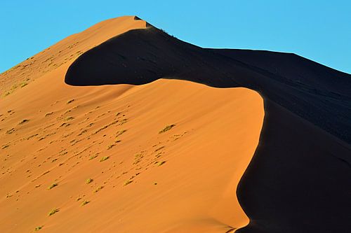 Sossusvlei / Namibië
