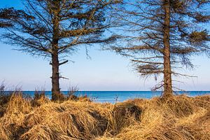 Strand an der Ostseeküste bei Graal Müritz