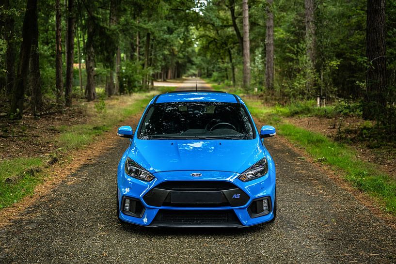 Ford Focus RS in den Wäldern von Bas Fransen