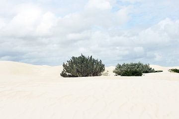 Minimalisme Woestijnlandschap van Inge Hogenbijl