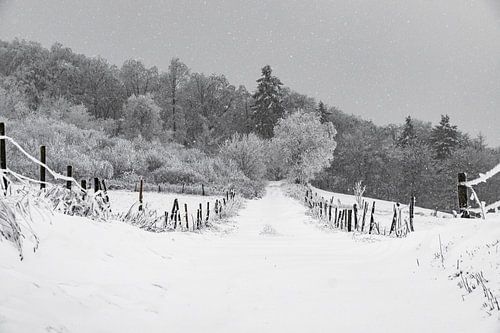 Wintermagie in de Rhön 2