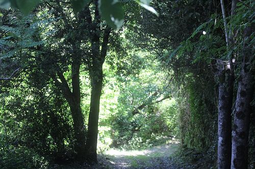 licht aan het eind van de tunnel