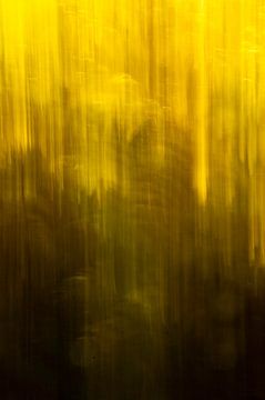 Abstract ombre autumn colors long exposure by Christa Stroo photography