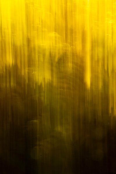 Couleurs d'automne abstraites et ombragées, exposition longue par Christa Stroo photography