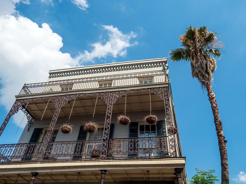 New Orleans by Hello Pompoyo