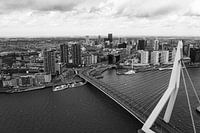 Moody Rotterdam
