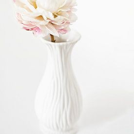 Witte roos van Birgitta Tuithof