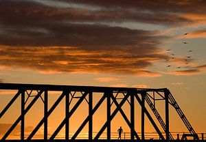 Hardloper op brug van Marcel van Balken