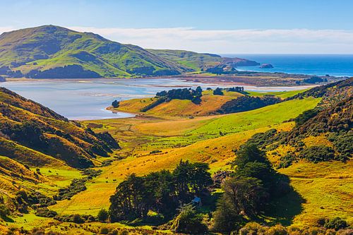 Portobello Road, Otago, New Zealand